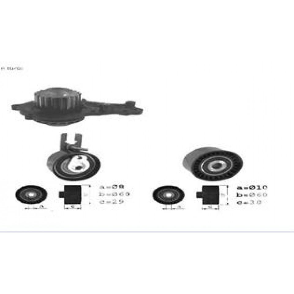 DEVİRDAİMLİ EKSANTRİK GERGİ KİTİ (137x254) P207-307-308-PART-C3-C4-C5-BERL- FIESTA-FOCUS 1.6HDI-TDI